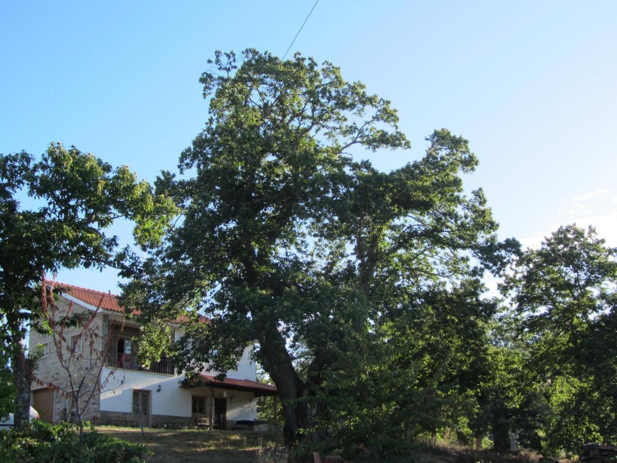 Bed and Breakfast O Bilho Виньяйш Экстерьер фото